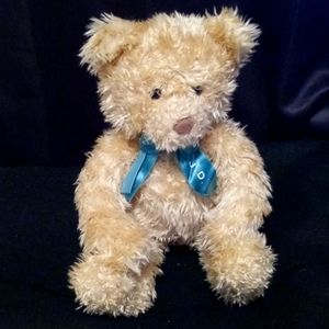 WWJD Plush Bear Gund